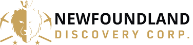 newfoundland-discovery